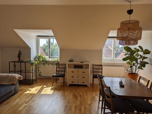 Apartment - Plantgatan Malmö