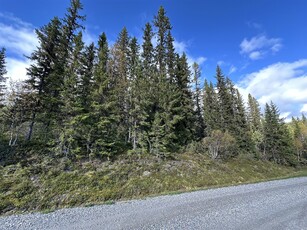 Tomt till salu på Bergbacken i Klövsjö - Mäklarhuset