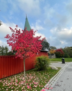 Apartment - Tengdahlsgatan Stockholm