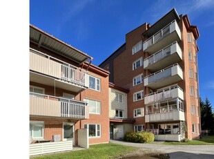 Hyr ett 2-rums lägenhet på 51 m² i Skellefteå