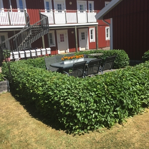 Apartment - Segerstadsvägen Växjö