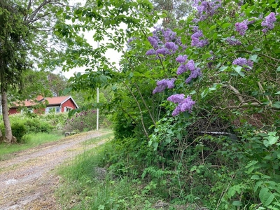 Cottage - Överbyvägen Djurhamn