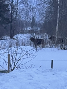 3 rums lägenhet i Karlstad