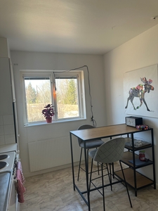 Apartment - Olle-jänsvägen Fåker