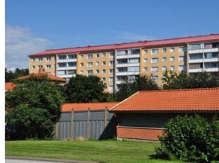 Hyr ett 2-rums lägenhet på 54 m² i Göteborg