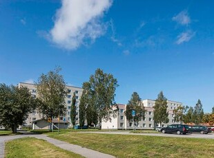 Mariestrand, Umeå, Västerbotten