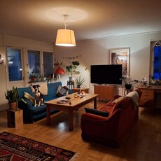 Apartment - Häradshövdingegatan Umeå