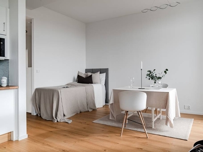 Apartment - Bagaregatan Helsingborg