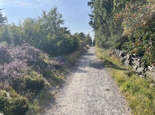 Hästsprånget Brännö Brännö