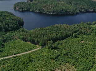 Skogsmark, Ällien 1:6 Bullaren Bullaren