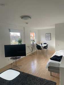 Apartment - Bastugatan Jönköping