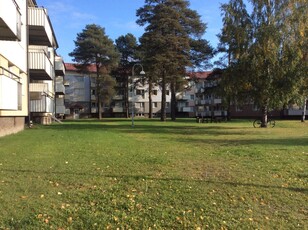 2 rums lägenhet i Luleå