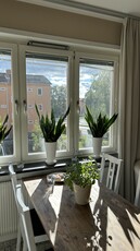 Apartment - Svartbäcksgatan Uppsala