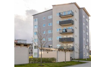 Hyr ett 2-rums lägenhet på 64 m² i Malmö