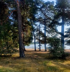 3 rums lägenhet i Bålsta