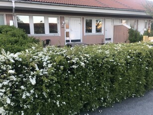 Terrace house - Odvaldsvägen Klintehamn