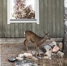 Med badrocksavstånd till både bad i sjö och hav!