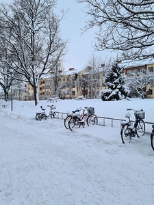 Skomakargatan, Uppsala