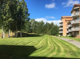 2 rums lägenhet i Skellefteå