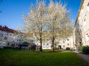 2 rums lägenhet i Göteborg