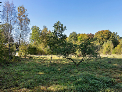 Tomt till salu på Killebodavägen i Arkelstorp - Mäklarhuset