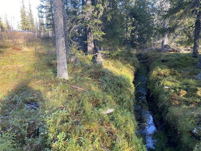 Tomt till salu på Klevfjällsvägen 15 i Oviken - Mäklarhuset