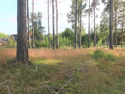 Tomt till salu på Norderåsvägen 28 i Häggenås - Mäklarhuset