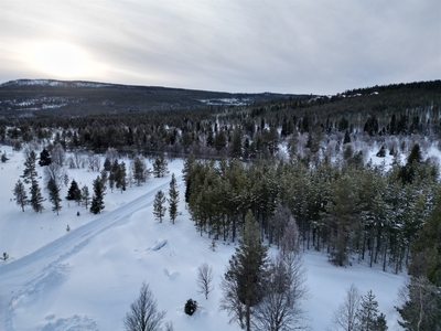 Tomt till salu på Näsvallen 732 i Vemdalen - Mäklarhuset