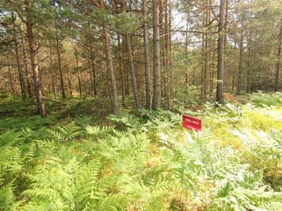 Tomt till salu på Rute Lilla Valle 402 i Lärbro - Mäklarhuset