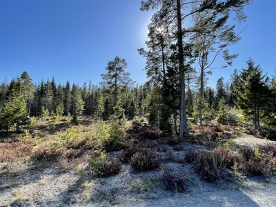 Tomt till salu på Sjöviken 104 i Härnösand - Mäklarhuset