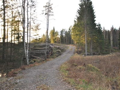 Villa till salu på Brevik 136 i Trollhättan - Mäklarhuset