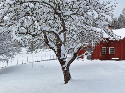 2 rums lägenhet i Västra Ämtervik