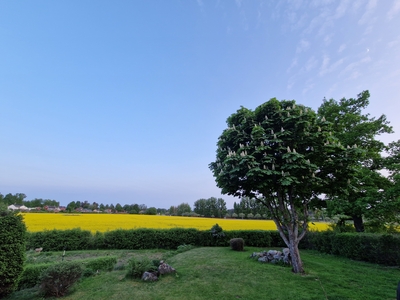 Cottage - Källarbacksvägen Eskilstuna