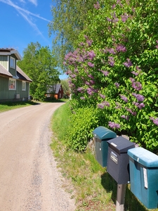 House - Sörby Vinslöv