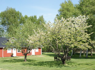 Apartment - Olofsbo Falkenberg