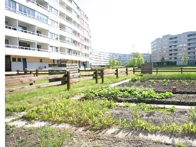 Hyr ett 1-rums lägenhet på 47 m² i Nyköping