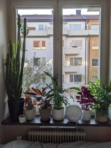 Apartment - Slipgatan Stockholm