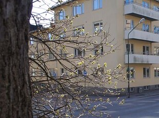 Amiralitetsgatan 15