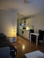 Apartment - Tvistevägen Umeå