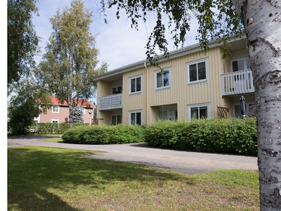 Hyr ett 1-rums lägenhet på 39 m² i Byske