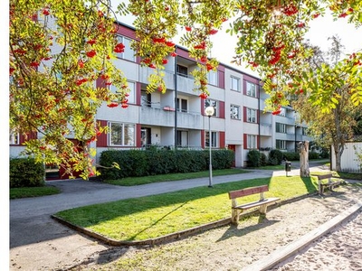 Hyr ett 2-rums lägenhet på 65 m² i Växjö