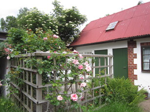 Cottage - Köpmansgatan Båstad