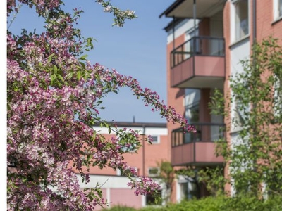 Hyr ett 3-rums lägenhet på 80 m² i Gränby