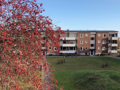 Apartment - Borgavägen Kalmar