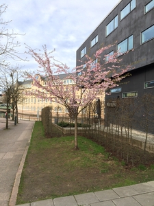 Apartment - Västerlånggatan Borås