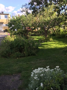 Duplex - Löjstigen Linköping