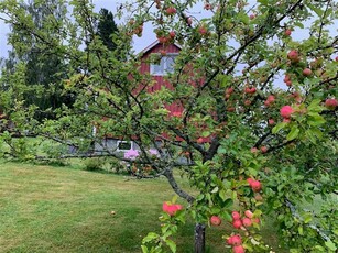 Villa till salu på Bergomsvägen 1 i Ramvik - Mäklarhuset