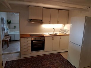 Apartment - Grönsiskegatan Malmö