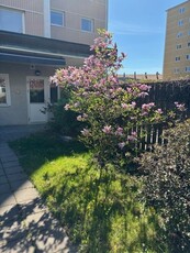 Apartment - Smedstugugatan Norrköping