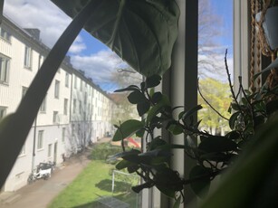 Apartment - Slottsskogsgatan Göteborg